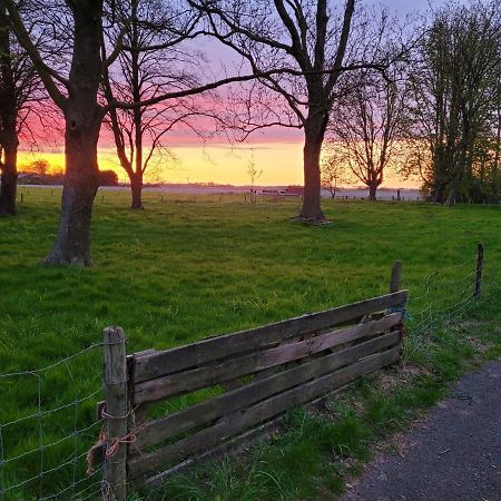 Vakantiehuis Aan Het Bos - Gelegen Aan De Tulpenroute Bant Exterior photo